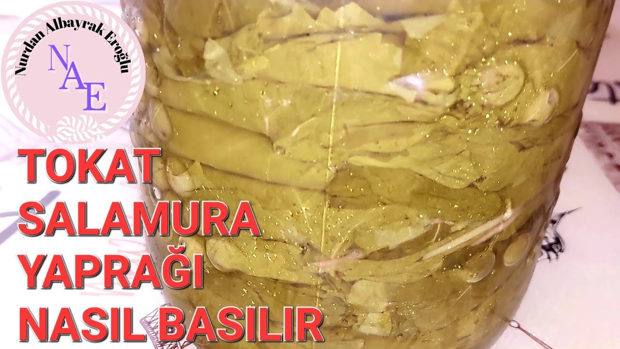 YILLARCA BEKLESE BOZULMAYAN💯TOKAT USULÜ SALAMURA YAPRAK NASIL BASILIR❓️TÜM PÜF NOKTALARI BU VİDEODA🔝