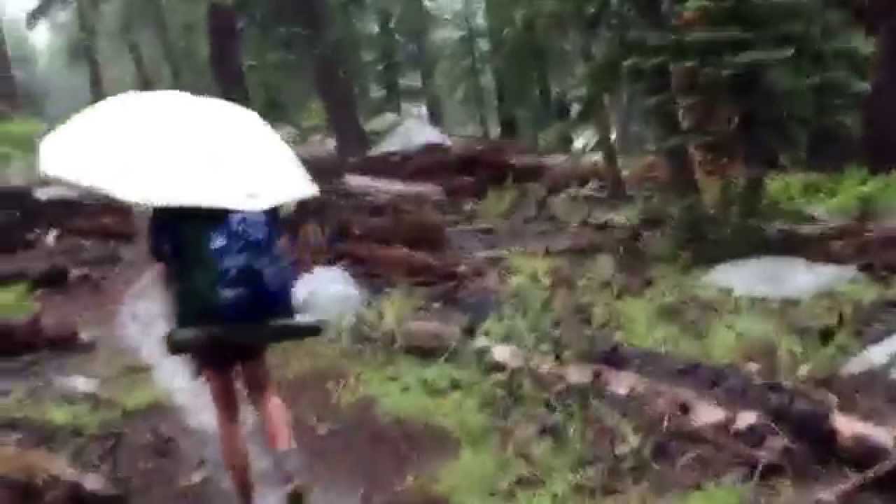 Rabbit hikes the PCT in the rain to Echo Lake