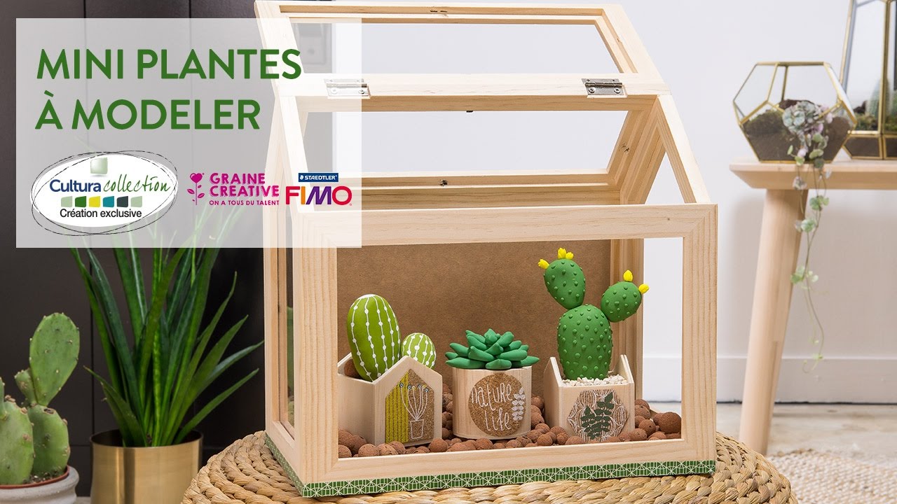 DIY créatif : Mini plantes à modeler - Green