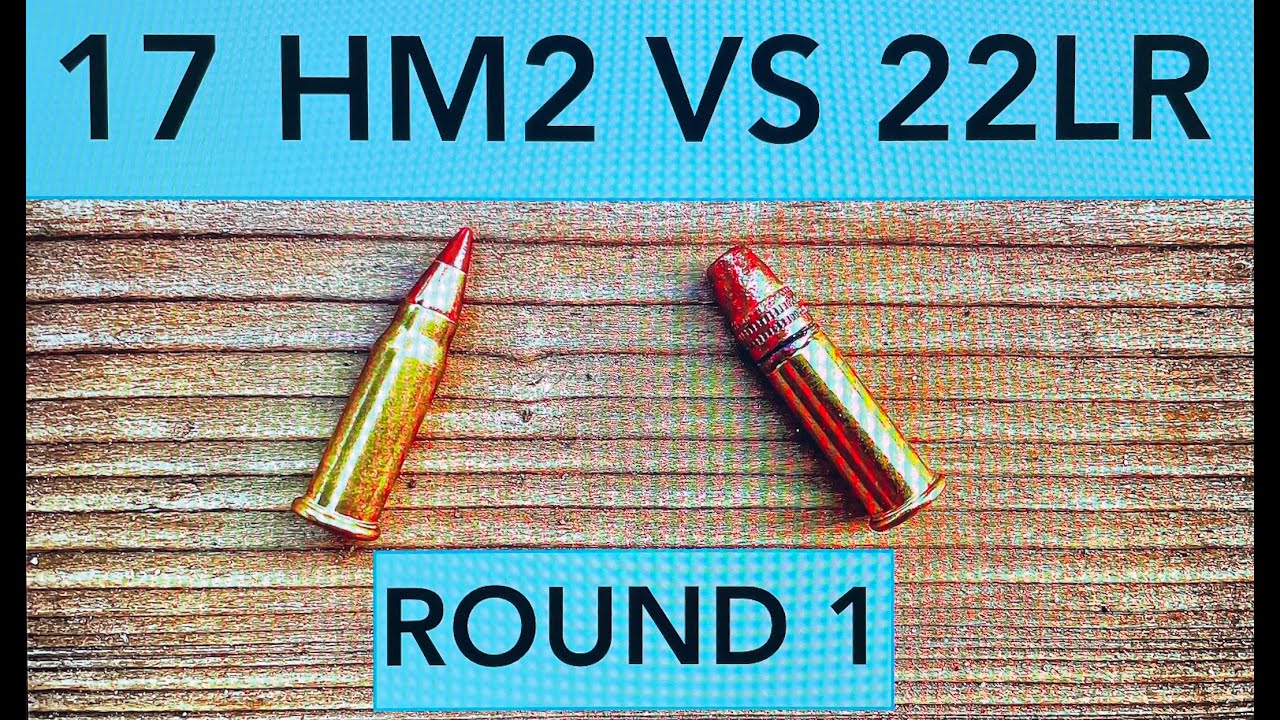 22lr vs the little step brother the 17 MACH 2 episode 1