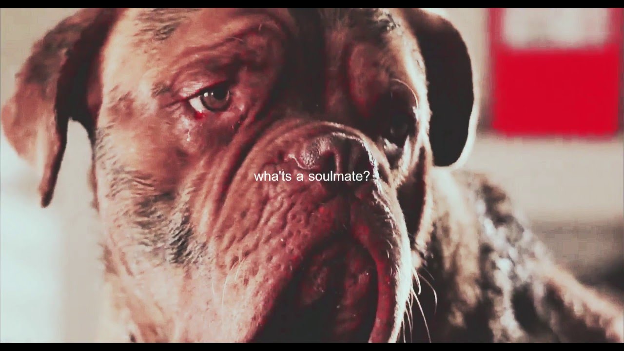 Sad Multifandom | 