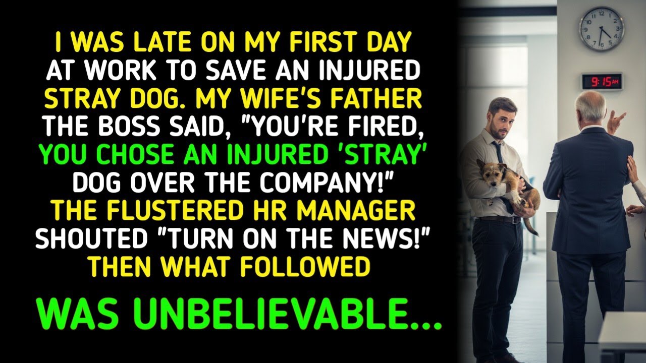 I WAS LATE ON MY FIRST DAY AT WORK TO SAVE AN INJURED STRAY DOG. MY WIFE'S FATHER THE BOSS...