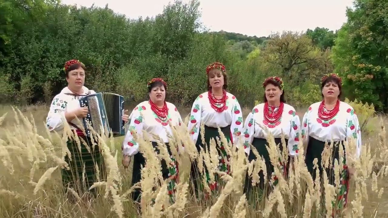 Сину, ти давно не був у мами