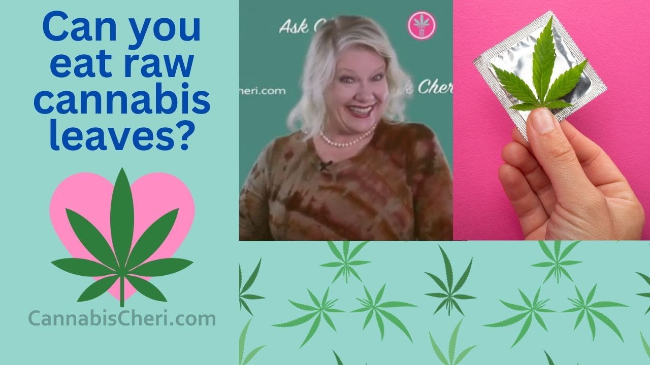 Can you eat raw cannabis leaves?
