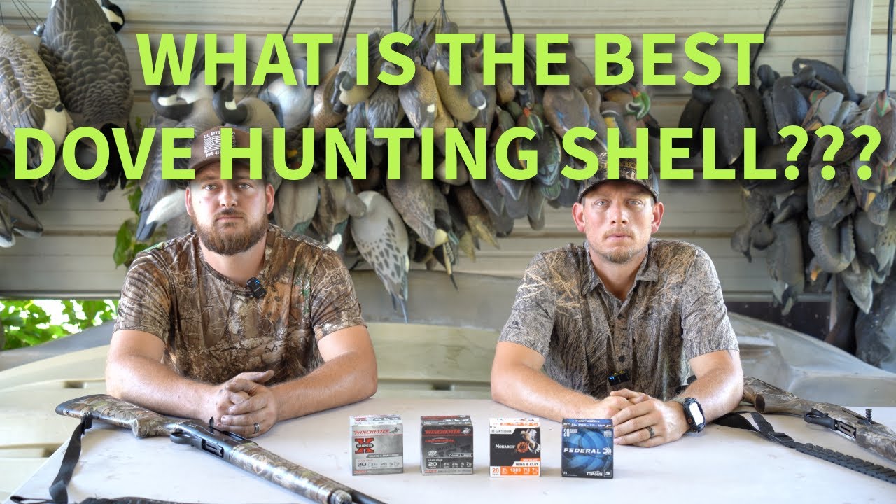 Best 20 Gauge Load for Dove Hunting? Tristar Raptor 20 GAUGE vs Beretta A300 20 GAUGE Pattern Test