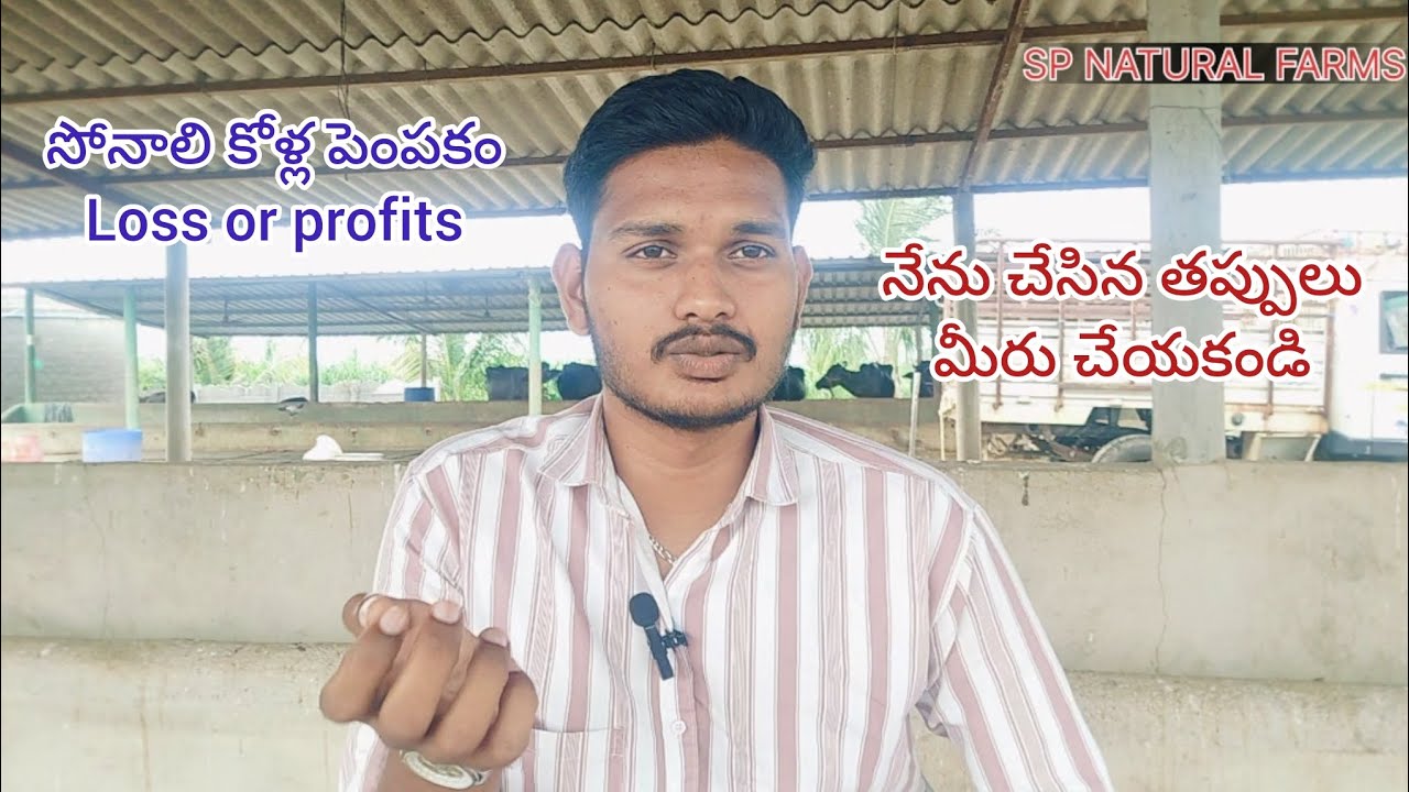 సోనాలి కోళ్ల పెంపు వల్ల లాభం ఎంత నష్టం ఎంత..? నేను తెలుసుకున్నది  ఇదే #sonali #business #new