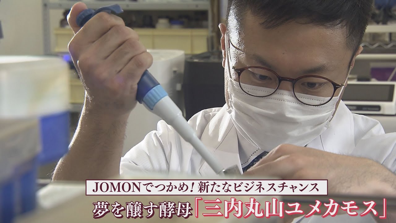 JOMONでつかめ！新たなビジネスチャンス　夢を醸す酵母「三内丸山ユメカモス」