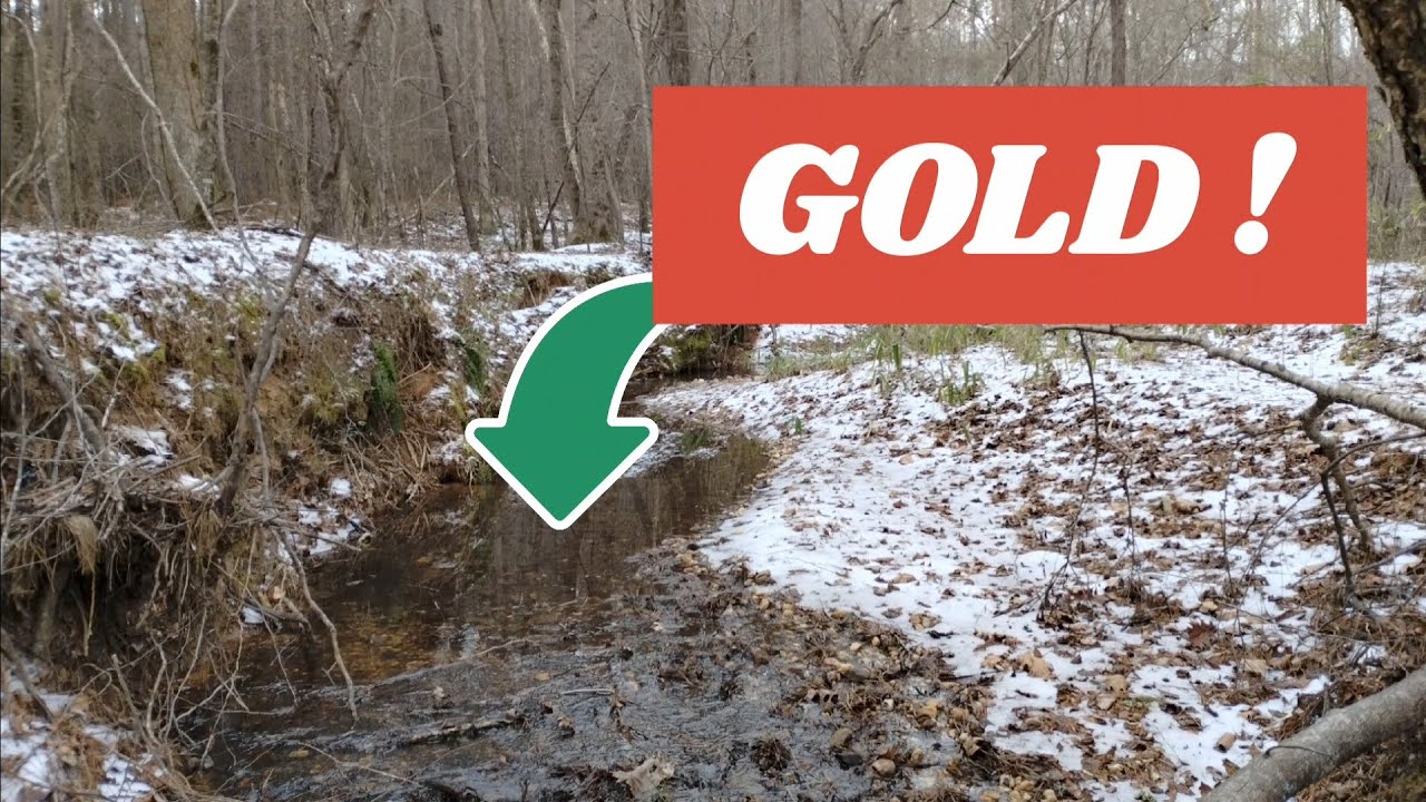 Gold found in icy South Carolina!
