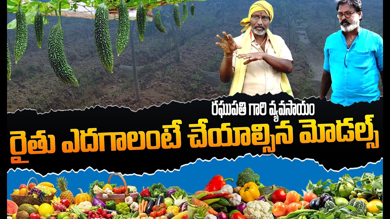 రఘుపతి గారి 5అంతస్తుల వ్యవసాయం | Five Layer Model | రైతు ఎదగాలంటే చేయవలసిన మోడల్స్ | ఒకే చోట 5 పంటలు
