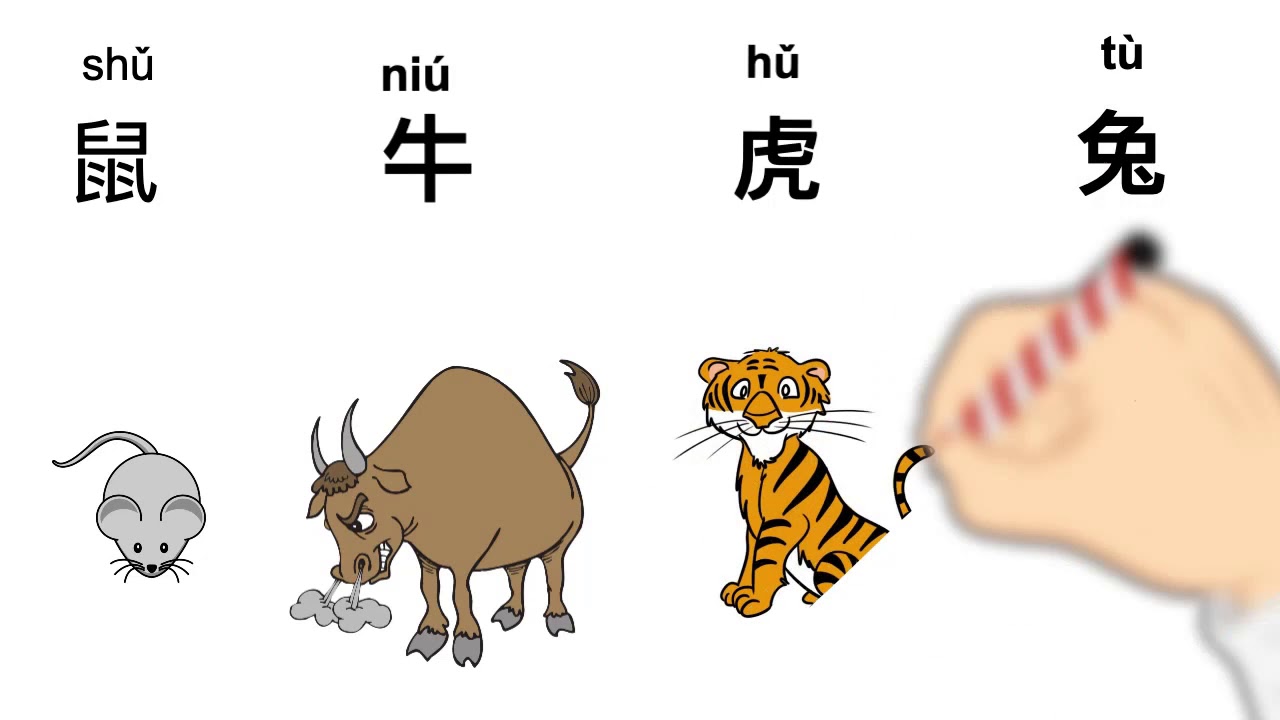 学中文十二生肖属相词汇+句型“你属什么”Learn Chinese Zodiac animals
