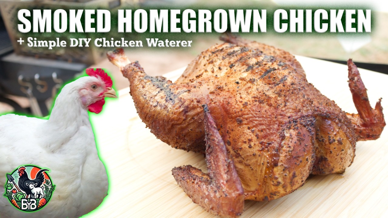 Smoking Homegrown Meat Chicken on the BBQ Smoker | Farm-to-Table Cooking & DIY Poultry Waterer Setup