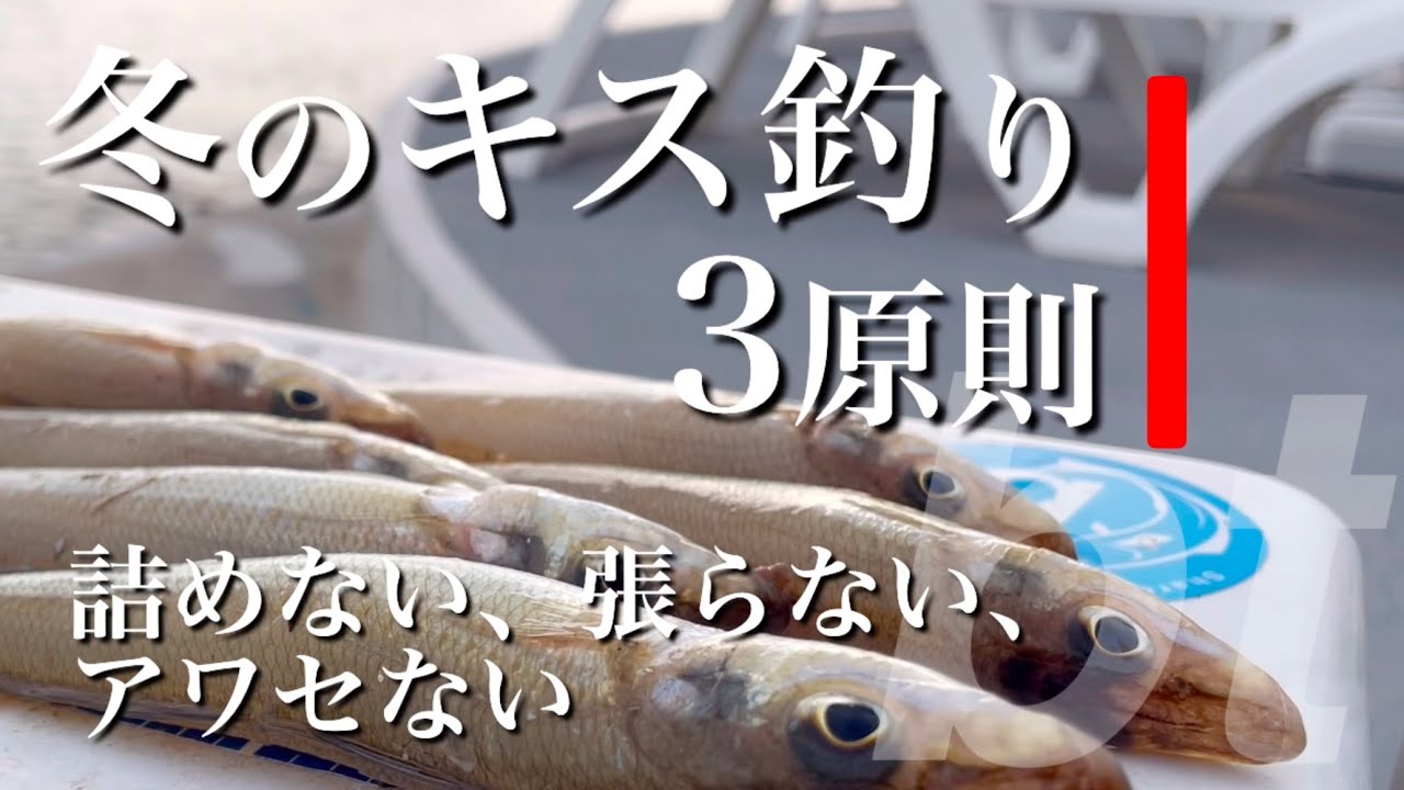 須磨海岸 冬のキスキャロ戦略・戦術・技術、群れなんかいない海でのキスの釣り方をご紹介