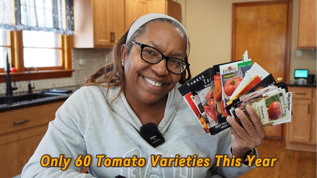 Best Tomato Varieties for the home gardener - What I'm growing Part 2