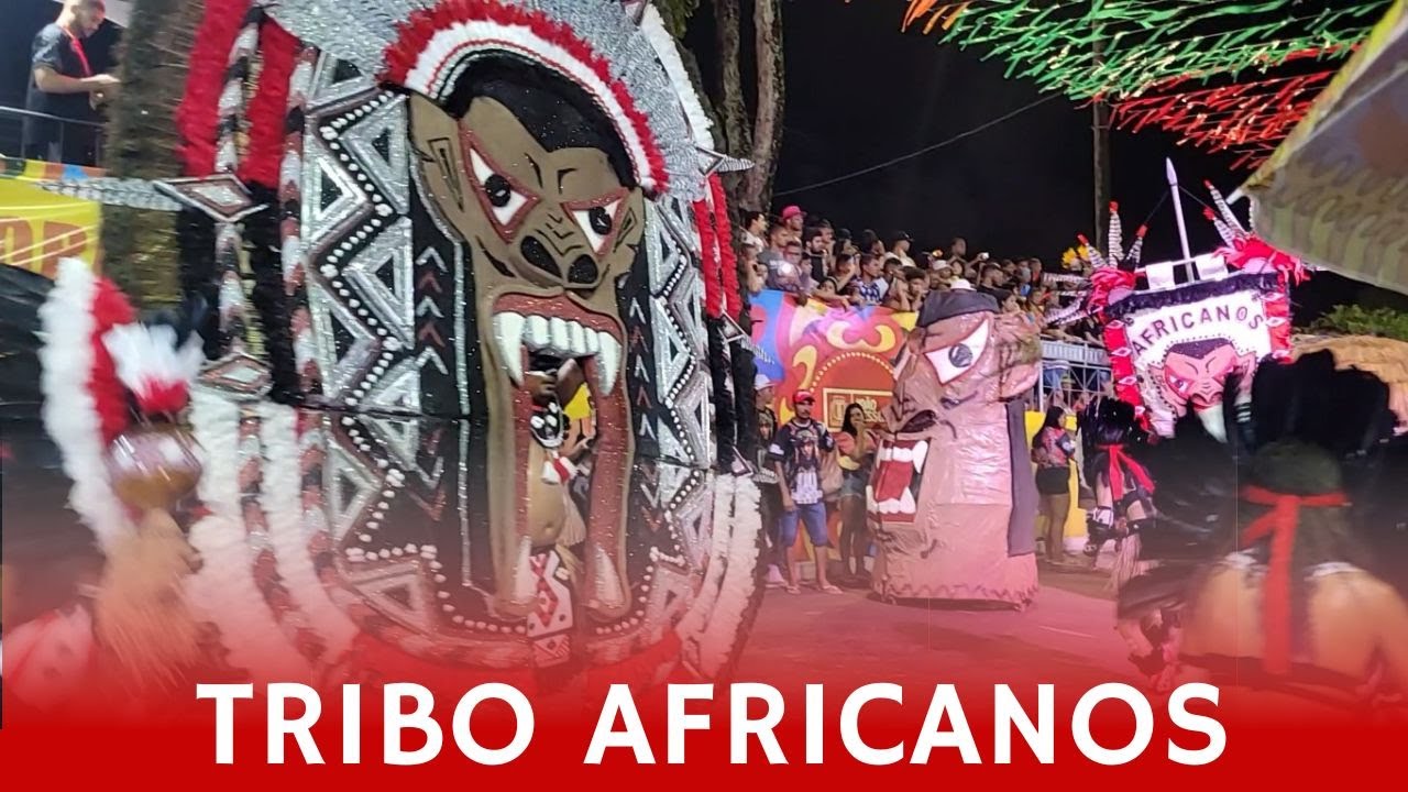 Tribo Indígena Africanos 2024 | Desfile Oficial | Carnaval Tradição de João Pessoa   #TRIBOAFRICANOS