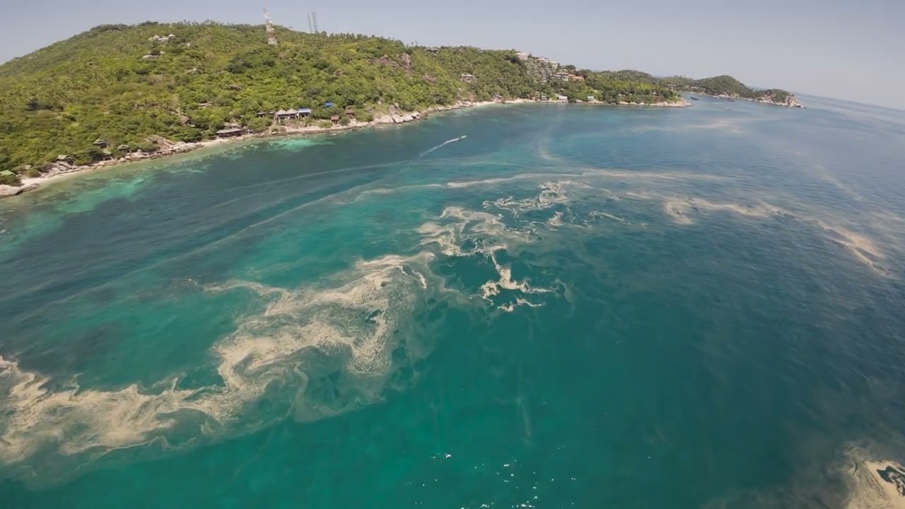 Langmuir circulation streaks off the beach at June Juea Koh Toa Thailnd