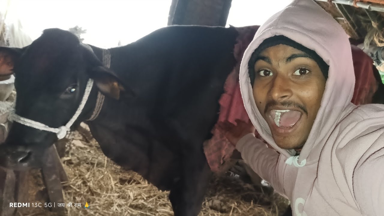 श्री राम बाबा बाछी को बेचकर गाय ले आए 😮