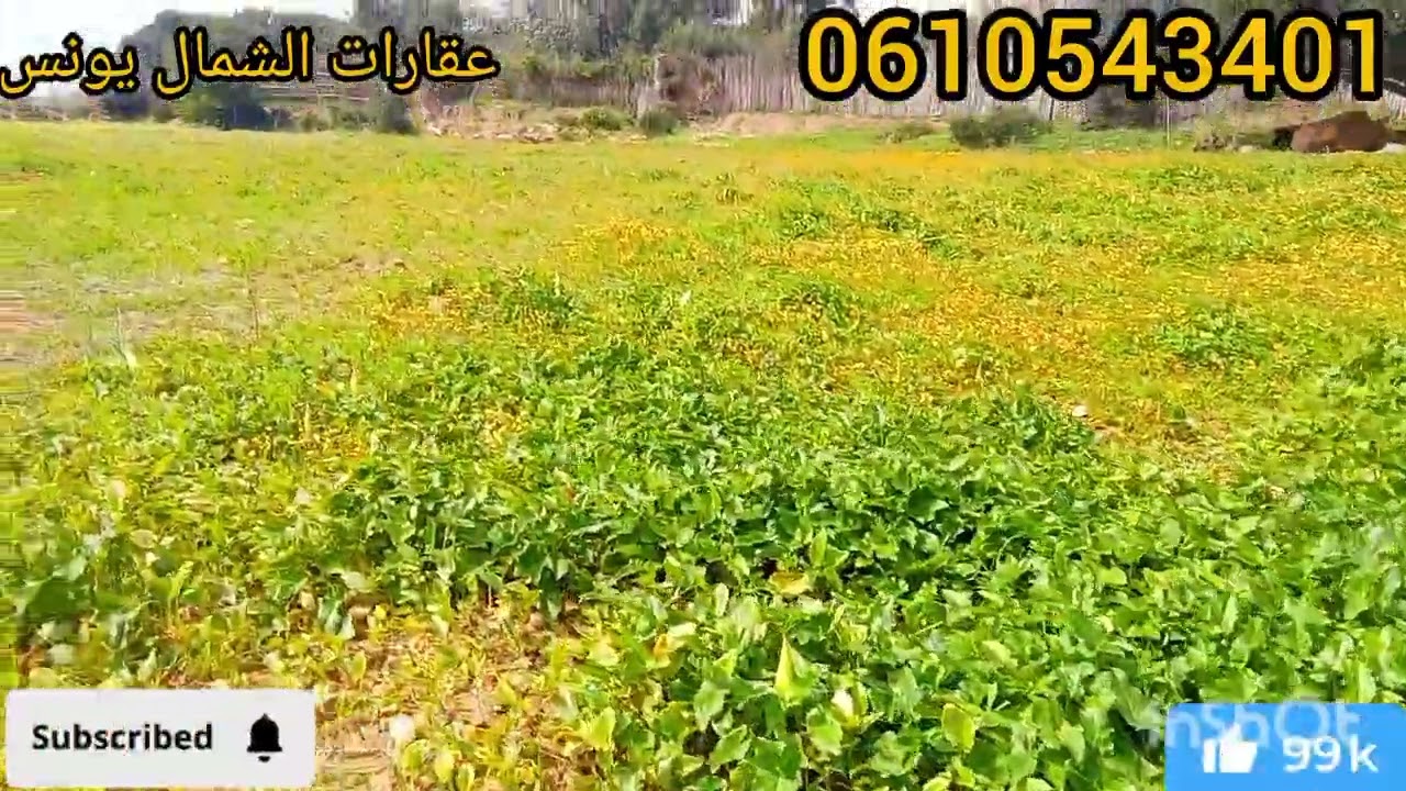 🚨همزة محفظةحوالي 2000 متر  ف قلب البادية🏡 بتمن همزة💥 نواحي تطوان طريق والماء والضو كولشي متوفر 💫