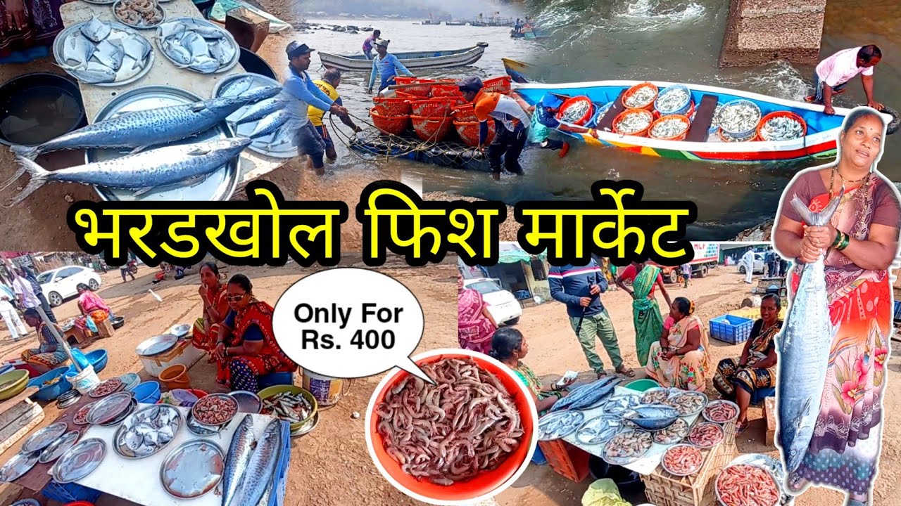 Bharadkhol Fish Market | भरडखोल फिश मार्केट | माश्यांचा लिलाव | मच्छी स्वस्त की महाग ?