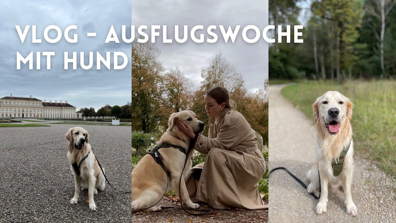 Vlog - Ausflugswoche mit Hund