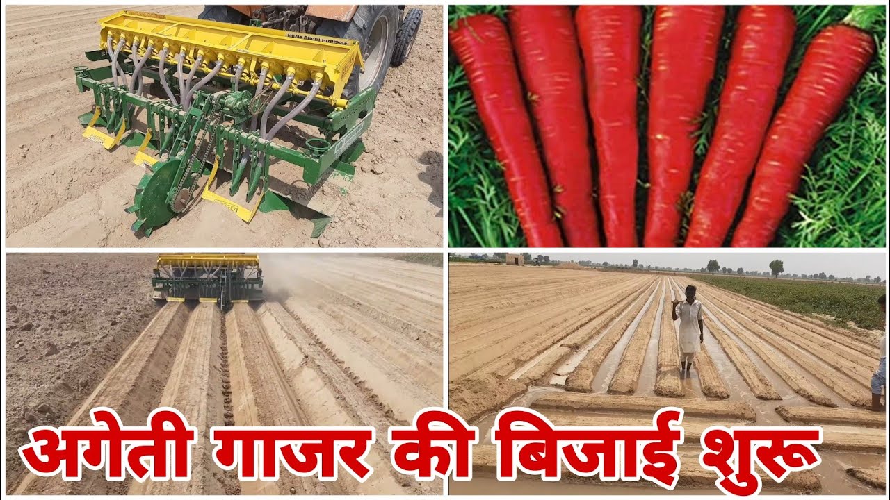 Carrot farming with bed making machine  अगेती गाजर की बिजाई करे और लाखों मे कमाई करे गाजर बिजाई मशीन