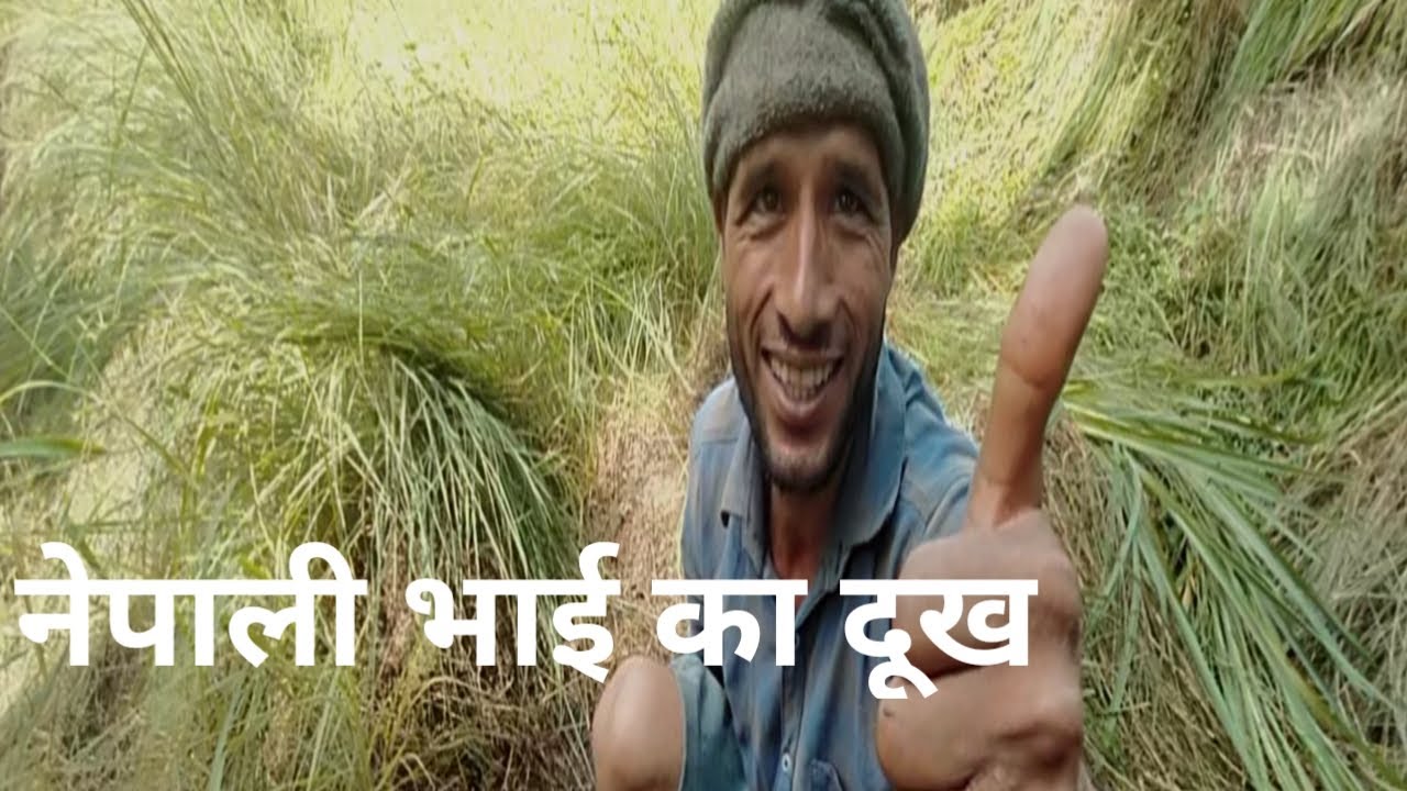 VILLAGE LIFE OF UTTARAKHAND|| PAHADI CULTURE|| UTTARAKHAND