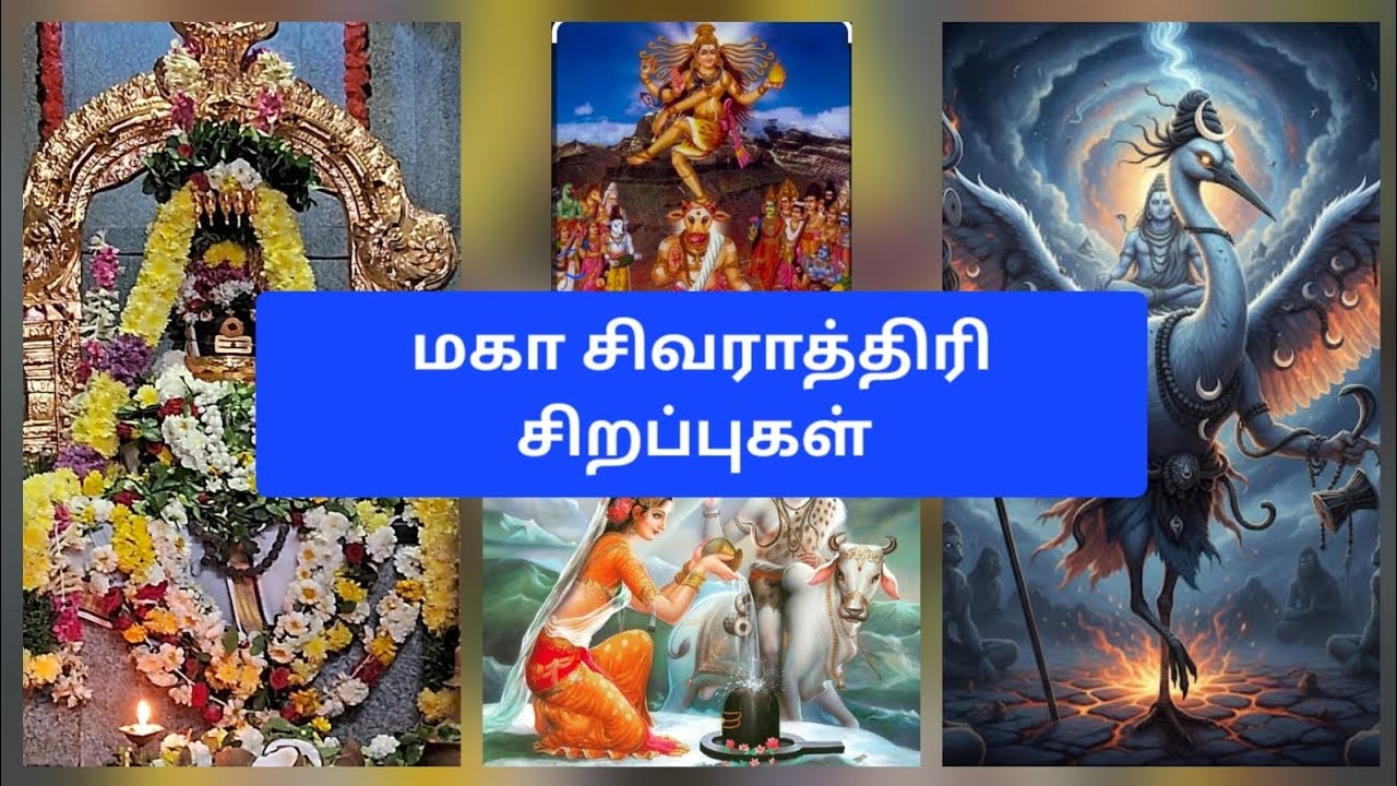 Significance of Maha Shivarathri | மஹா சிவராத்திரி சிறப்புகள் சிவ பெருமானின் மகத்துவங்கள்