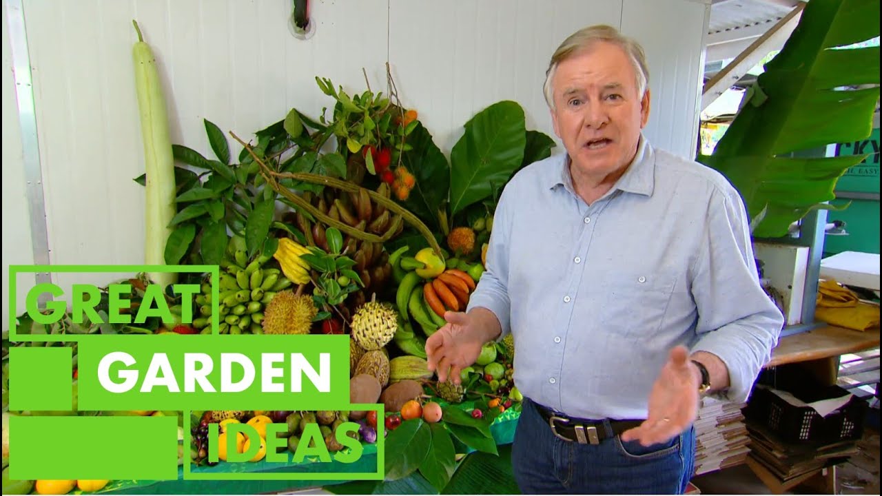 How to Grow Your Own Tropical Fruit | GARDEN | Great Home Ideas