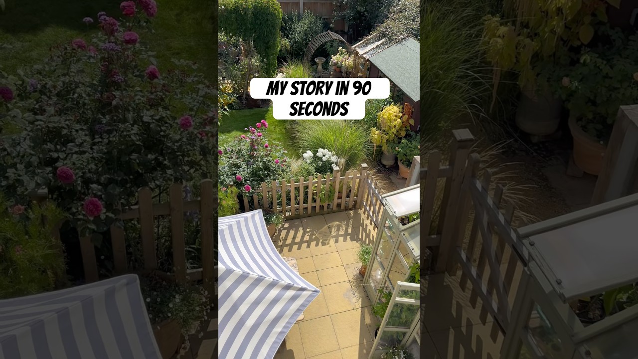 My new build garden transformation #gardening #newbuild #garden #gardeninspo #gardenideas