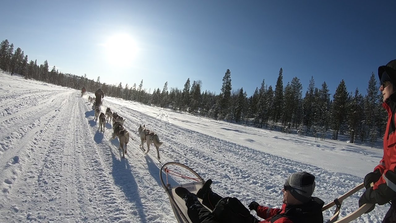 Lapland 2018 - Episode 4: Husky Farm