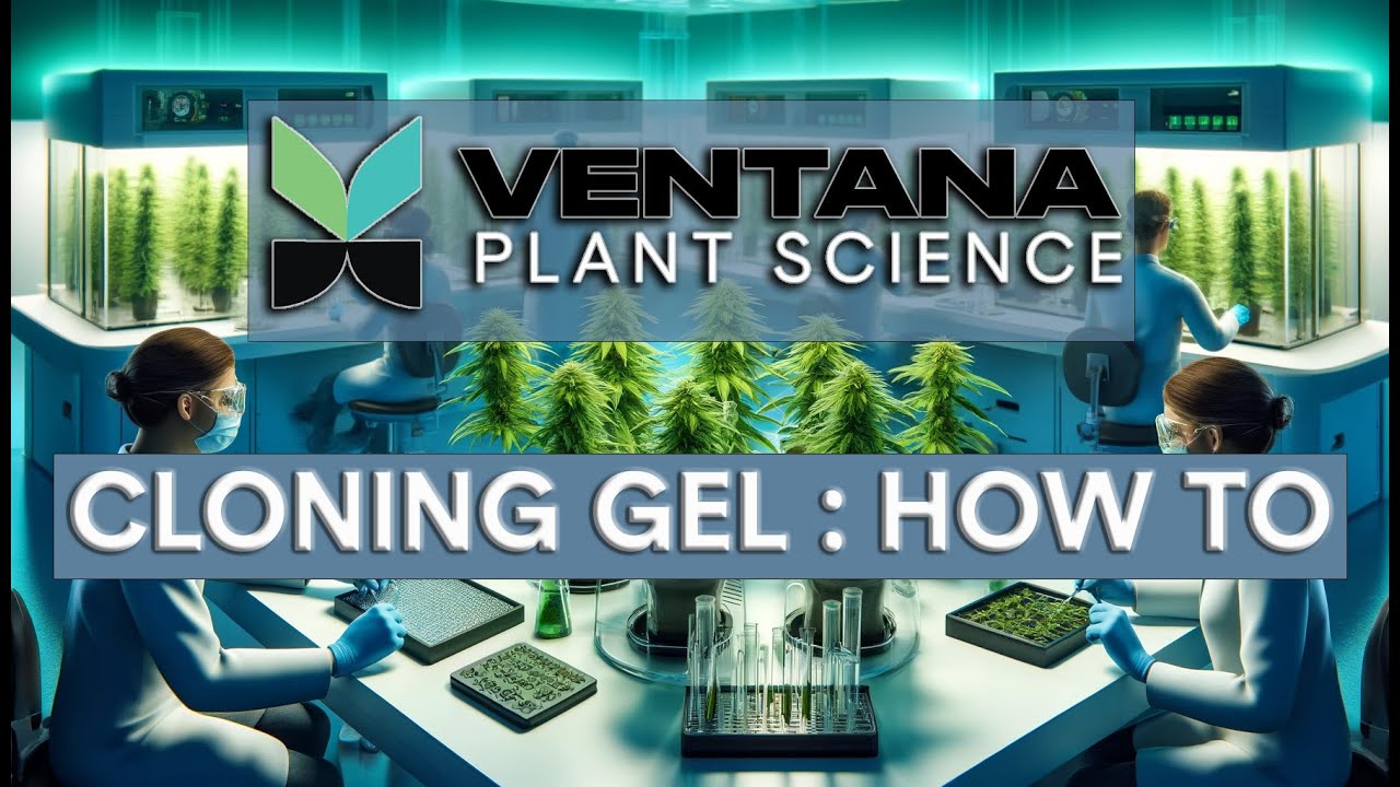 Cutting Edge Cloning  VPS Cloning Gel's New Pathogen Free Approach