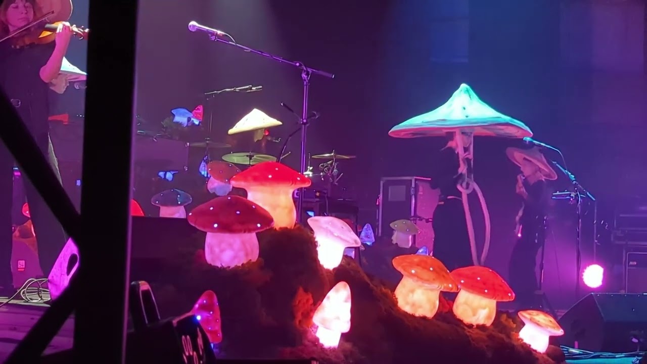 Pomme Live Saint-Lô 2023 Ecran Sonique all 10 novembre 2023