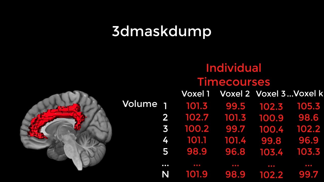 fMRI Lab: Extracting Individual Voxel Timeseries in AFNI