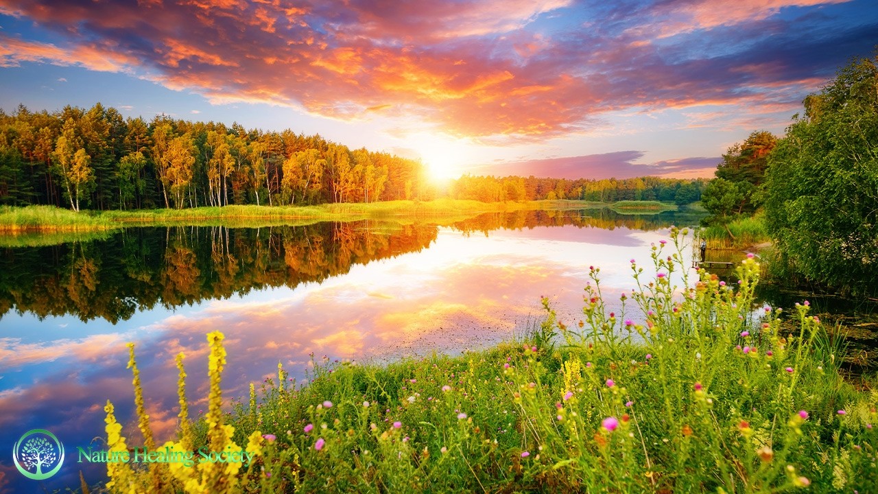 GOOD Morning Energy Flow Music 528Hz