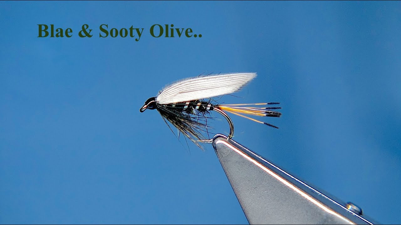 Tying a Blae & Sooty Olive with Davie McPhail