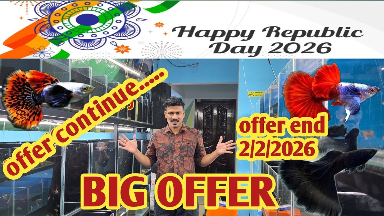 Offer continue...... End 2/2/2026.  HAPPY  Republic day  ♥️ BIG OFFER #evaan_aquatic 9544 123454 