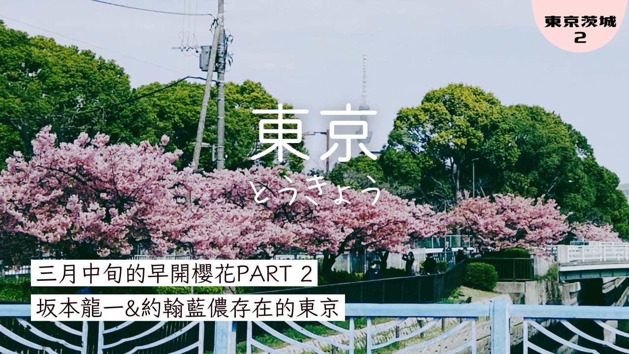 #90 【東京】 大橫川步道&藏前神社の櫻 | 坂本龍一展 | 百年關東煮&百年咖啡館 | 淺草完美日常黑炒麵&拉麵百名店新橋 纏 | 自助旅 | Japan Travel