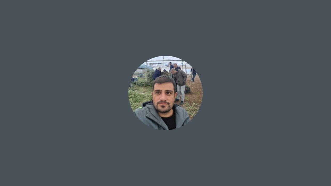 Antepfıstığı Tane Dökümleri