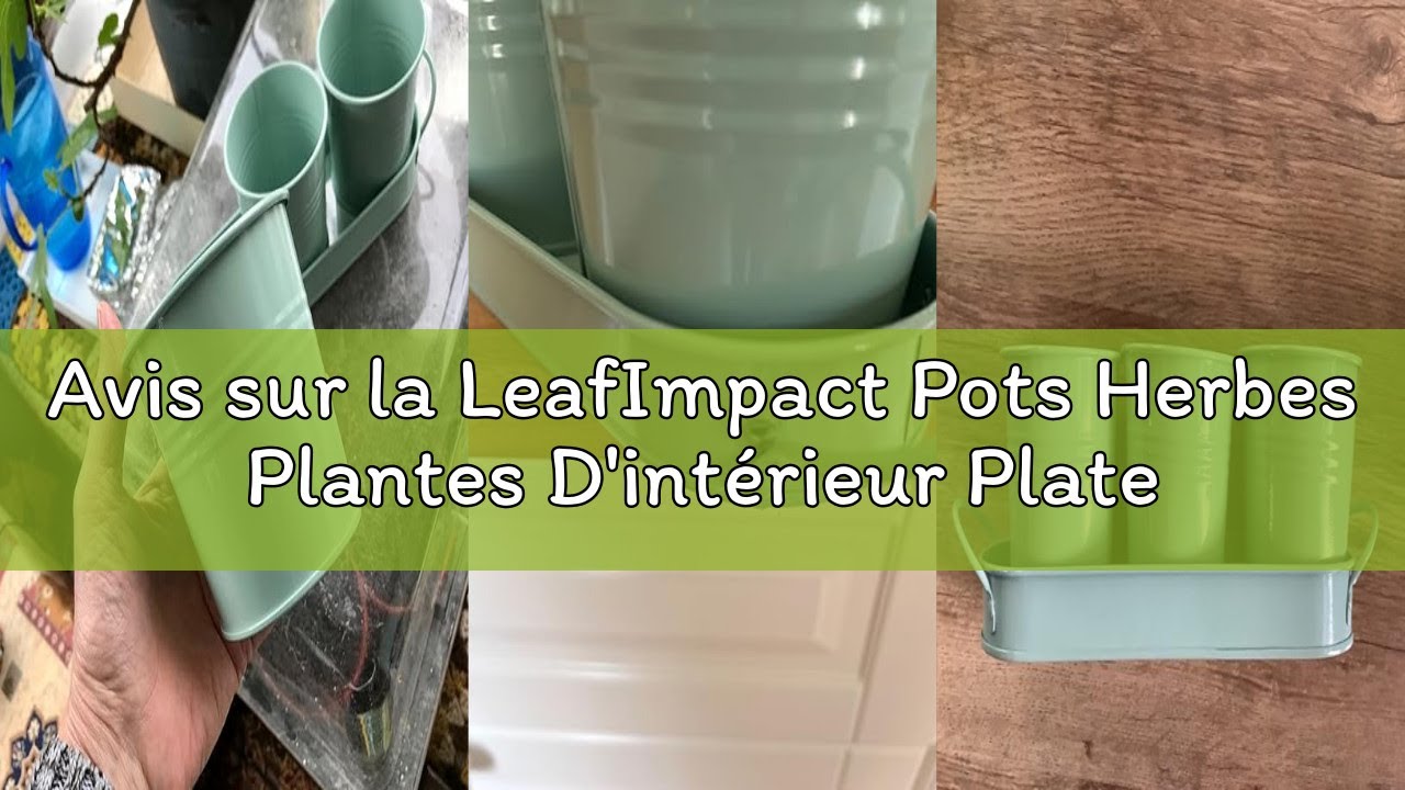Avis sur la LeafImpact Pots Herbes Plantes D'intérieur Plateau | Cultivez des Herbes Fraîches Chez V