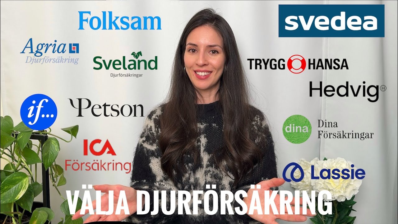 Välj rätt djurförsäkring för er | Hund & Katt