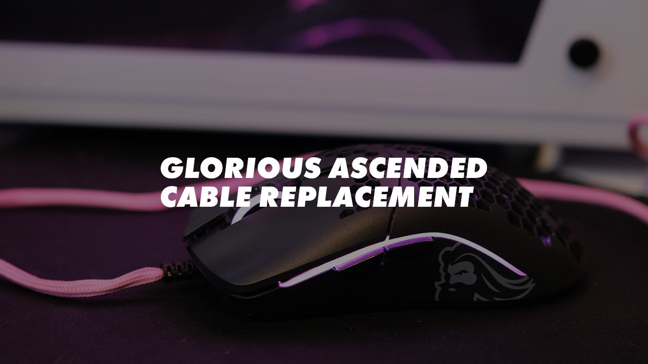 Glorious Model O- Ascended Cable Replacement - Best Customer Support?!