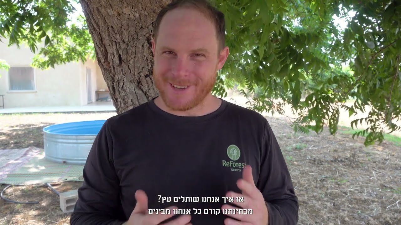 איך אנחנו שותלים עץ?