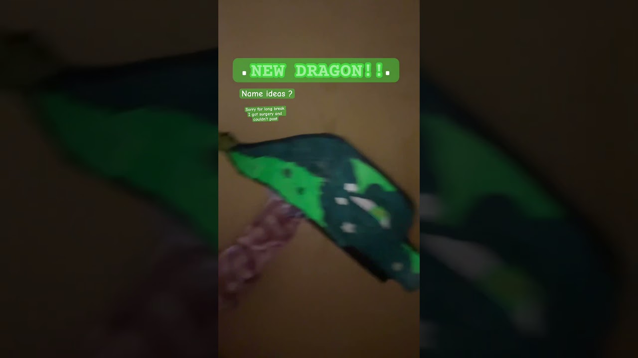 #paperdragon