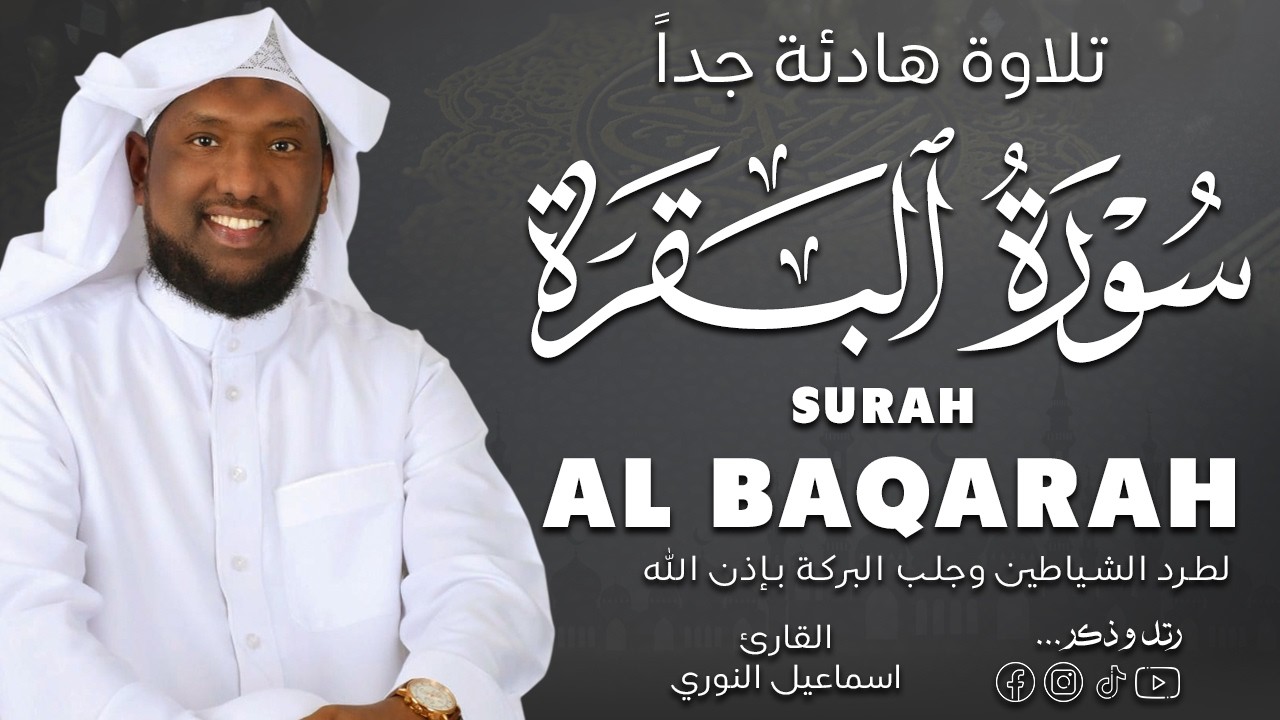 سورة البقرة  تلاوة هادئة جدا - تزيل هموم القلب ❤ Surah AlBaqarah