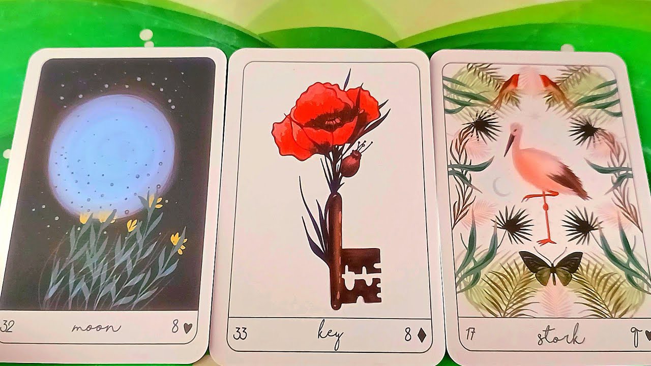 BẠN VÀ HỌ KHI RƠI VÀO IM LẶNG, HỌ SUY NGHĨ GÌ/ TAROT READING