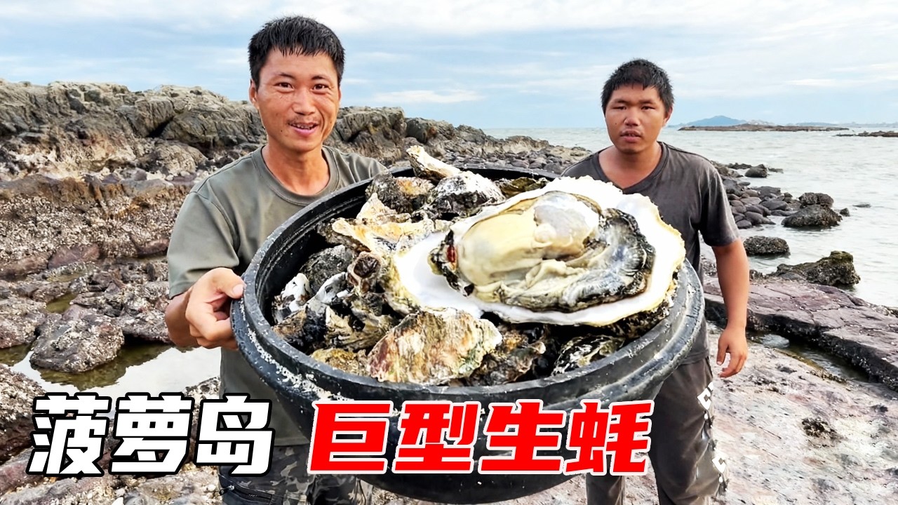 菠萝岛无人荒岛野外求生（11~20）：台风来临之际，海边石壁上敲下饱满大生蚝，搭配鸟蛋蒸着吃超新鲜【户外平头哥】