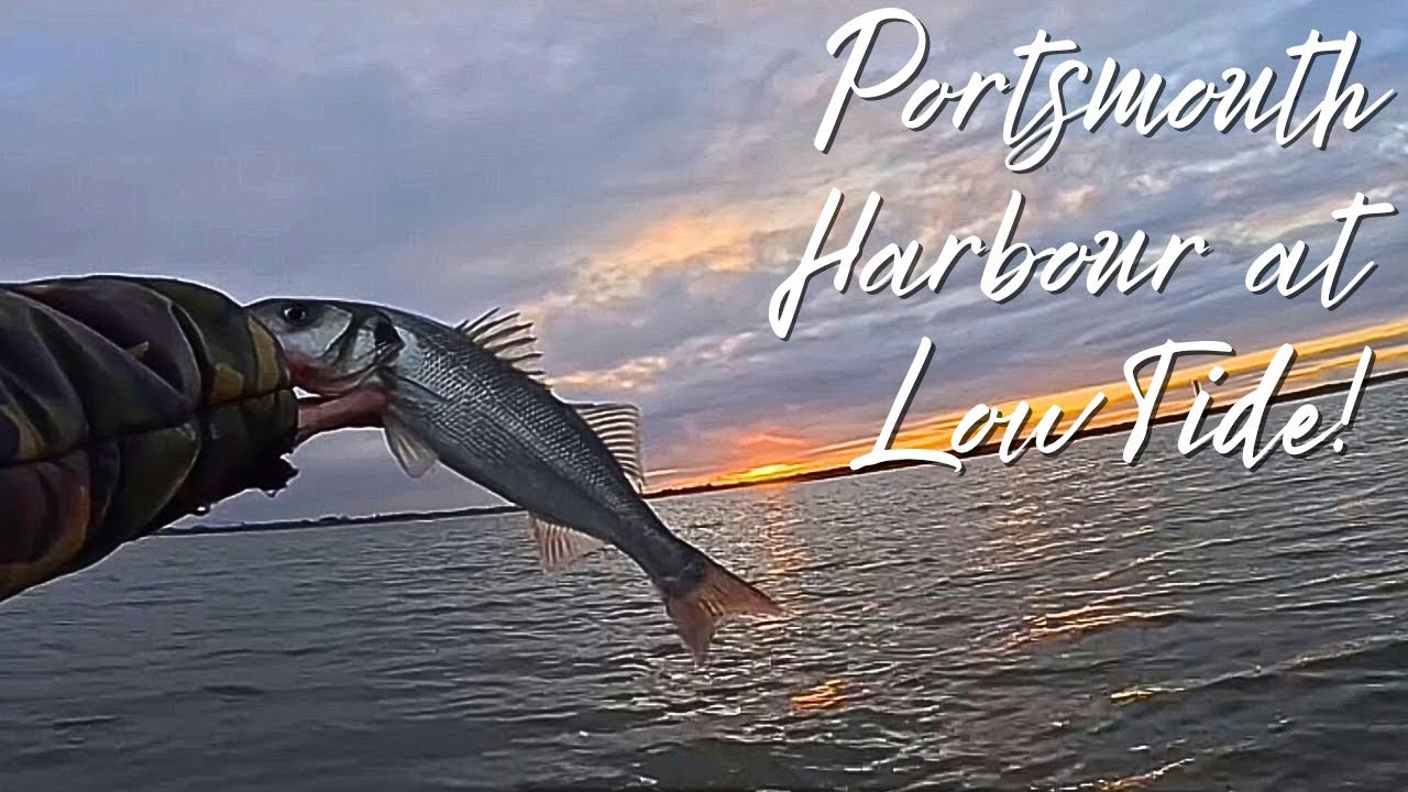 Lure Fishing for Bass | Portsmouth Harbour Low Tide