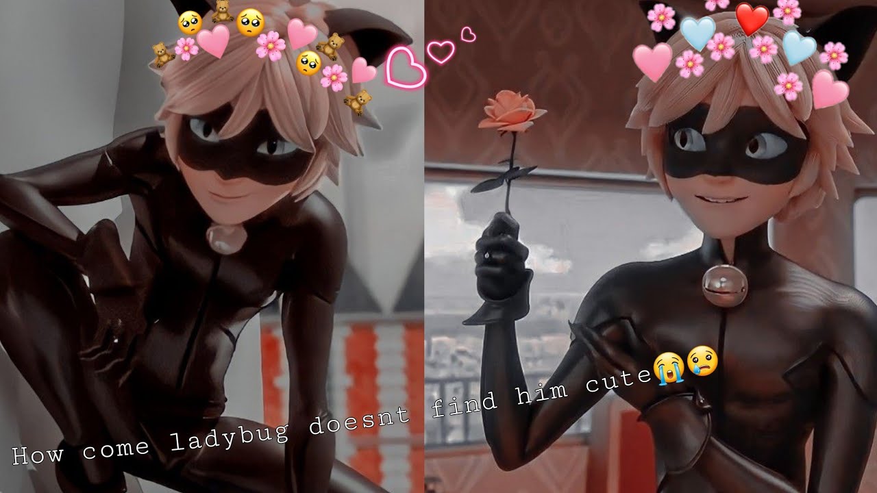 ✨ Best cat noir edits to simp for ✨