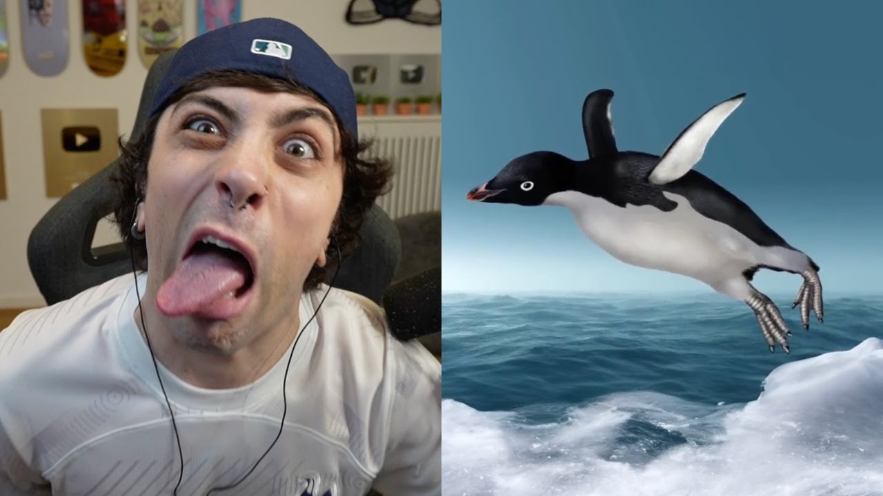 pingüino 🤪🐧