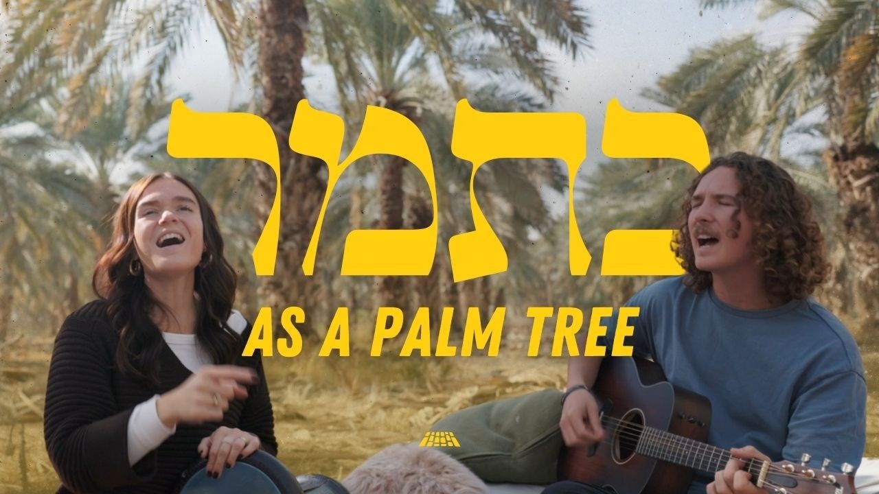 As a Palm Tree | Ka'tamar (Worship in the Judean Desert) @SOLUIsrael