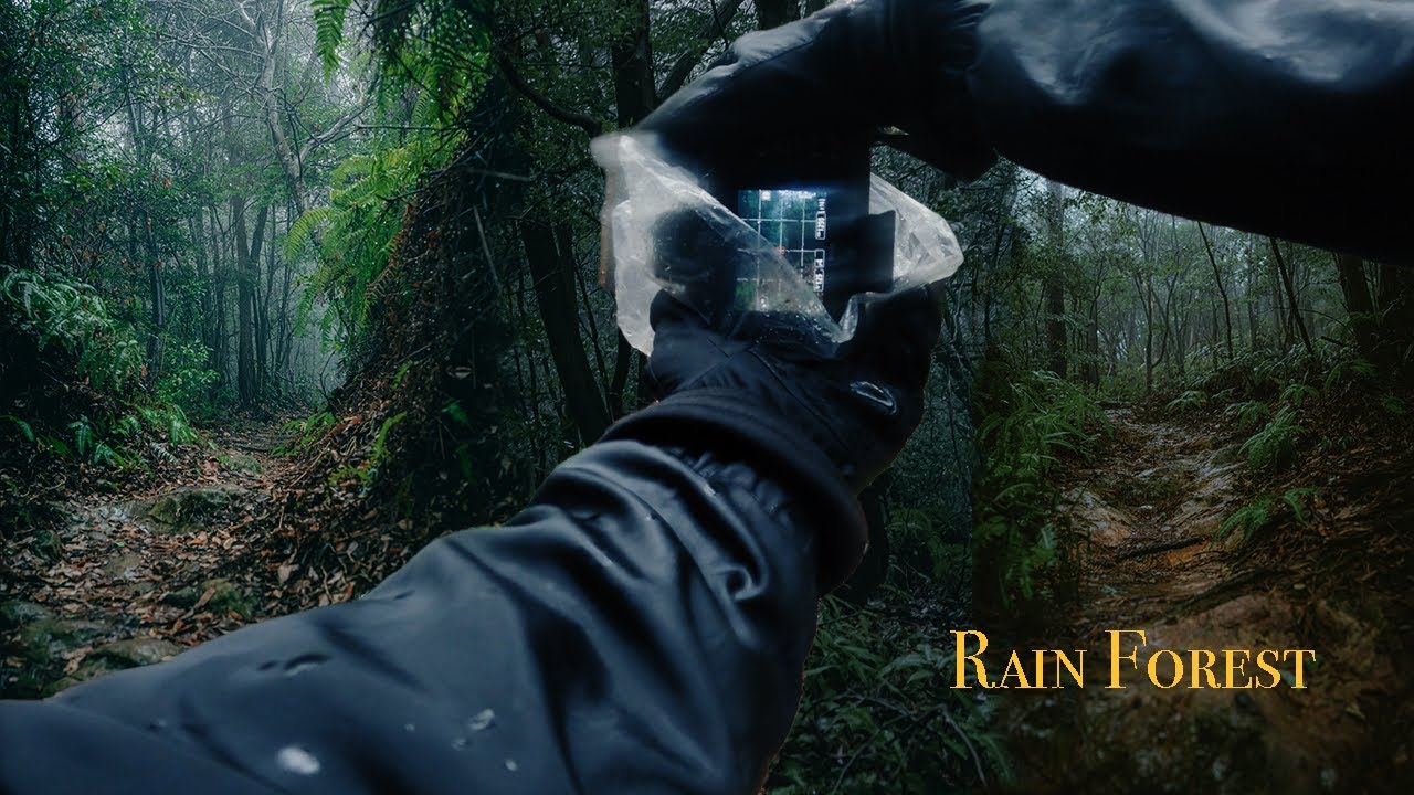 POV RAINY PHOTOGRAPHY IN THE FOREST[1/3]